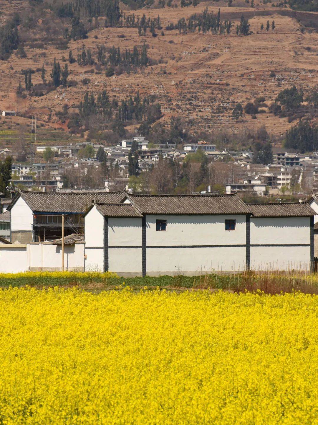 春游云南丨到大理这些古村镇静享春日美好_古镇_千年_历史