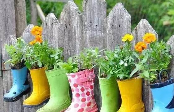 美翻了~原来院子里装花的盆,也可以这么有创意!_花盆_植物_生活