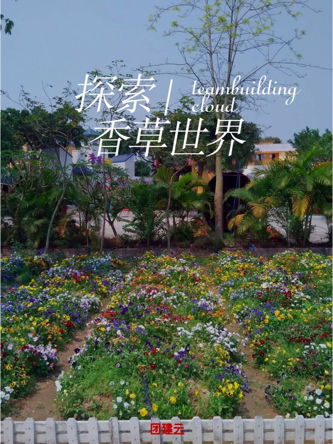 为您策划一场创意团建,试搜索"团建云"99 团建场地:香草世界多种
