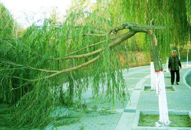 我国_观测_人们