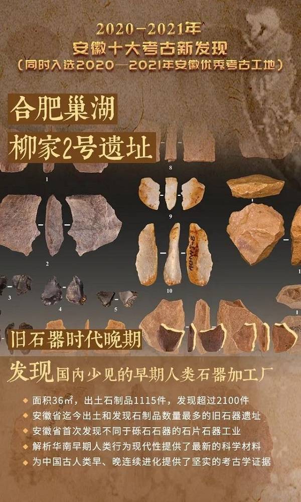 隐形文化·有形文化与无形文化_巢湖_动物_智人