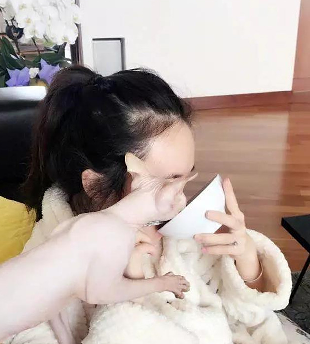 宠物_猫咪_霍思燕