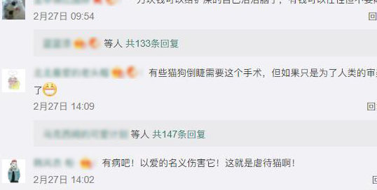 花万元给猫咪做"双眼皮"手术?实则为眼睑内翻矫正术_宠物_主人_虐待