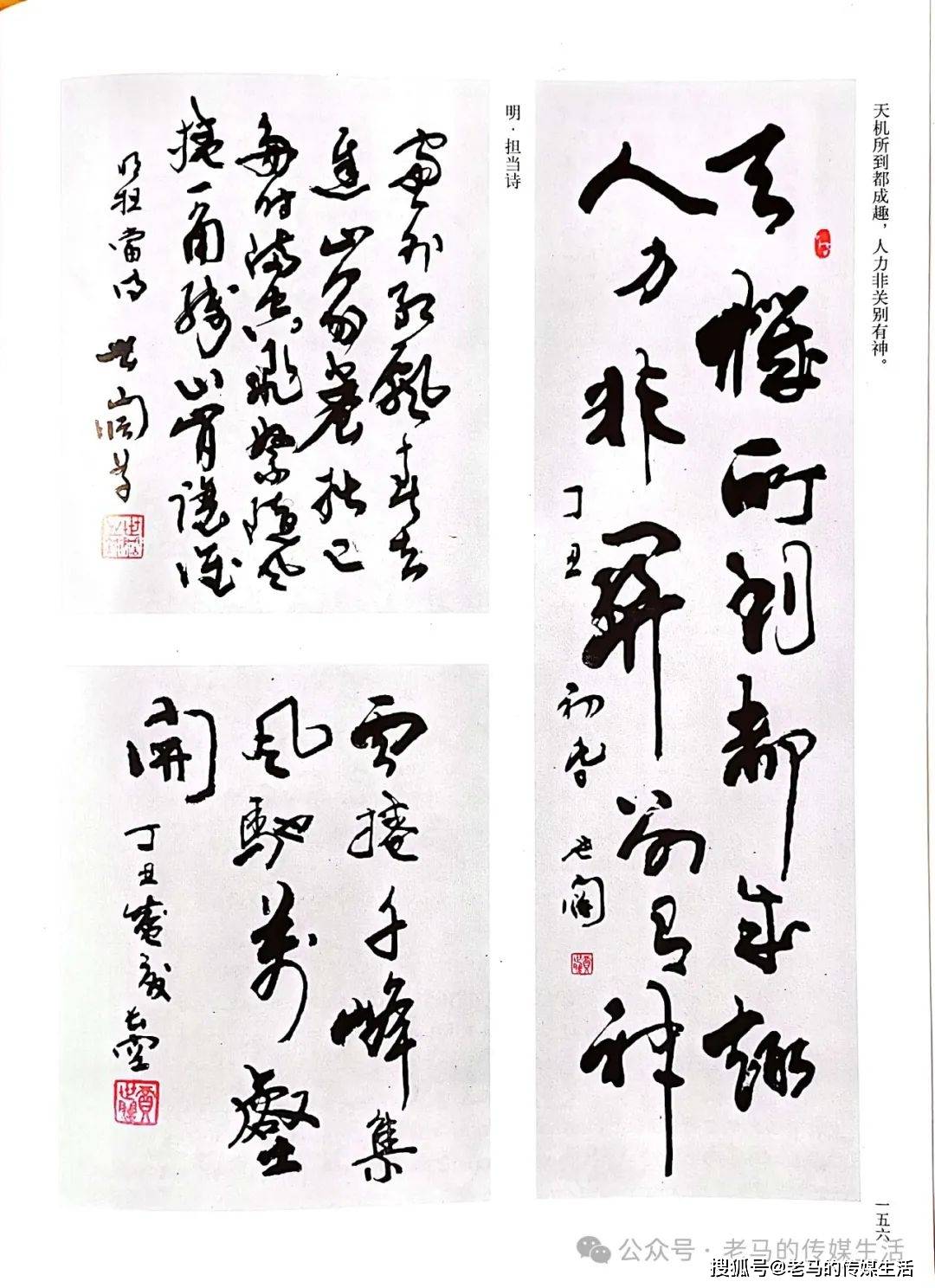 靖远人 | 书法家贾世阔_先生_甘肃_艺术