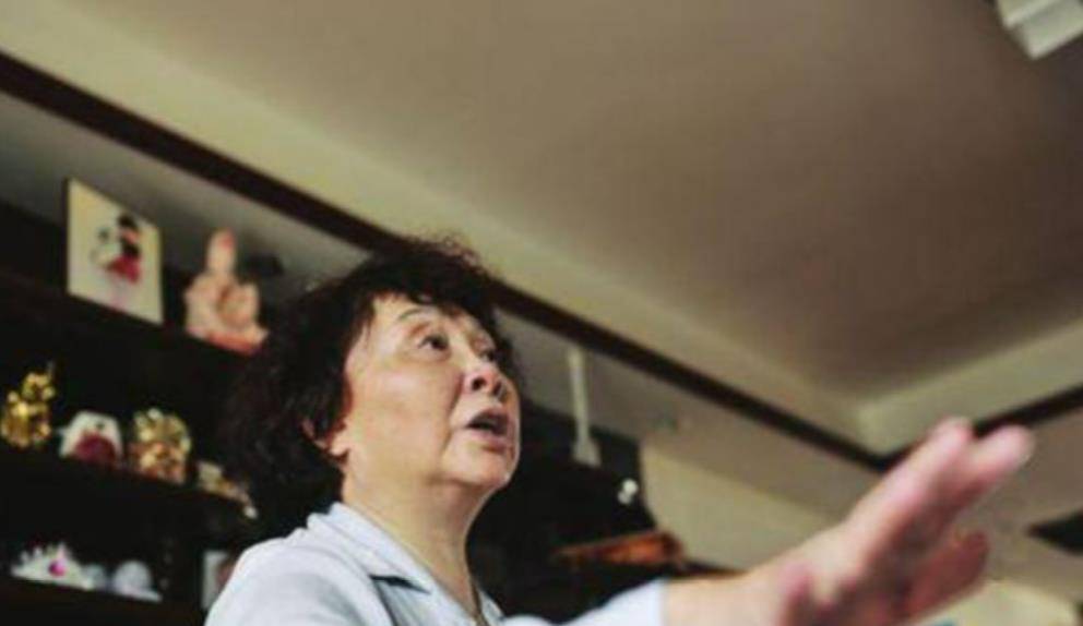 失独老太盛海琳,60岁冒死生下双胞胎,如今成百万富翁