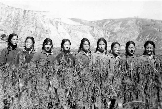 大连知青王冬梅:壮美的青春献给了草原_青年_生活_辽宁省抚顺市