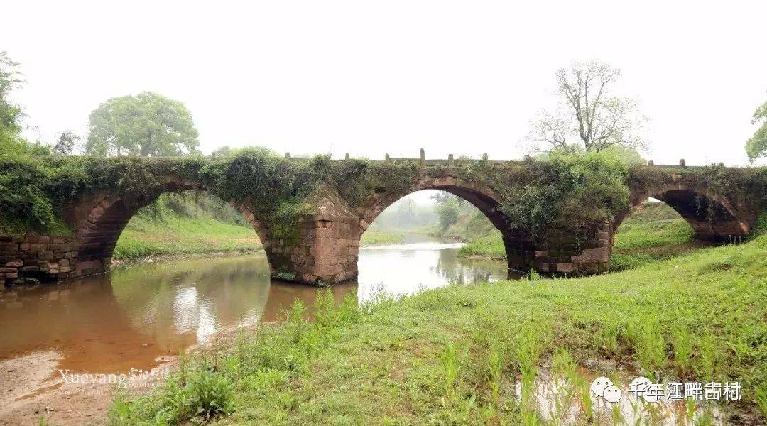 泰和县沿溪潋溪:江畔走读|一湾深深浅浅的水,一串重重叠叠的江右商帮