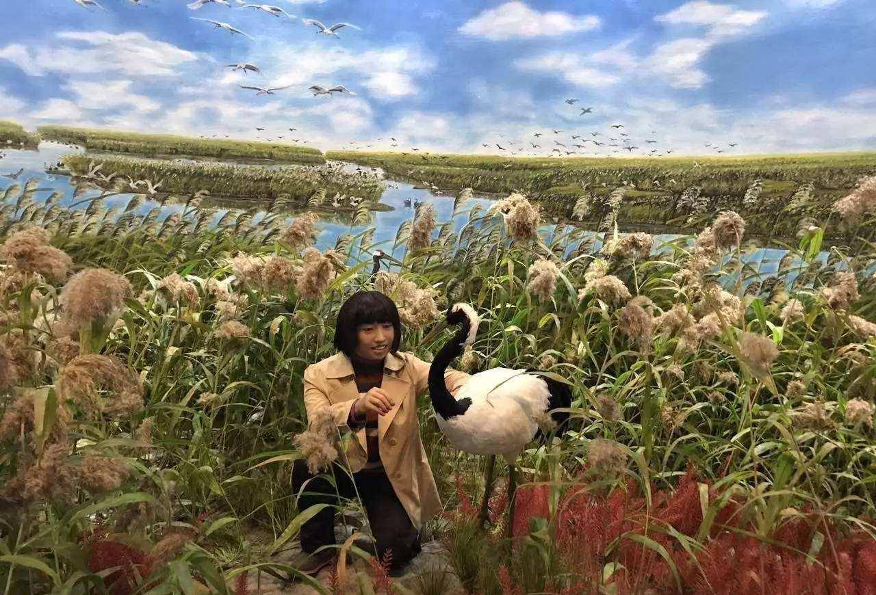 两人为保护丹顶鹤牺牲,至今后代仍坚守"护鹤"使命_徐秀娟_工作_扎龙