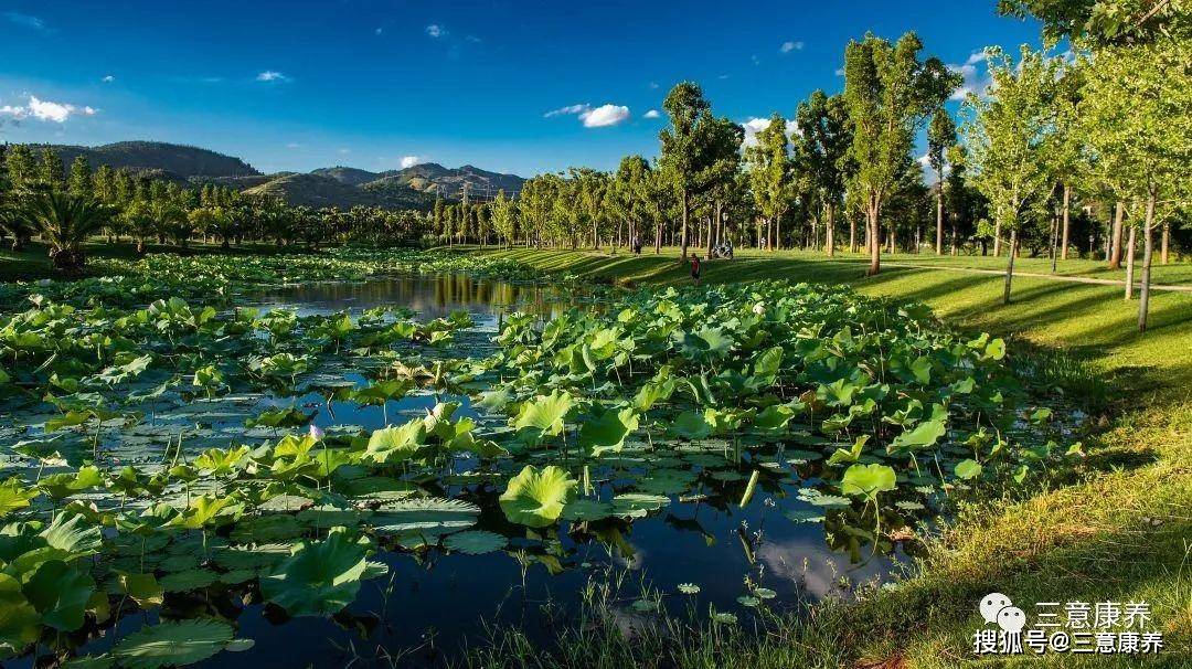 仅需105元一天起包吃住,来云南弥勒泡温泉踏春_房间_设施_正餐