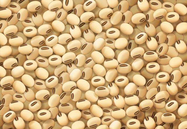 打豆浆,黄豆泡好不能直接打,再多做1步,豆浆又香又浓,无残渣_口感