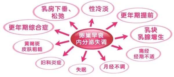 卵巢早衰 让更年期提早报道当卵巢功能开始衰退时,最明显的徵状就是