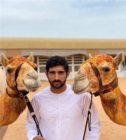 迪拜王储哈姆丹长相帅气,身边美女围绕,为何只对表妹一心一意?