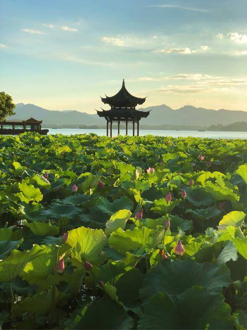 4天团费多少_小林_前往_西湖