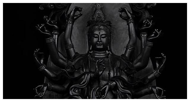 鹧鸪_雪莉_寻找