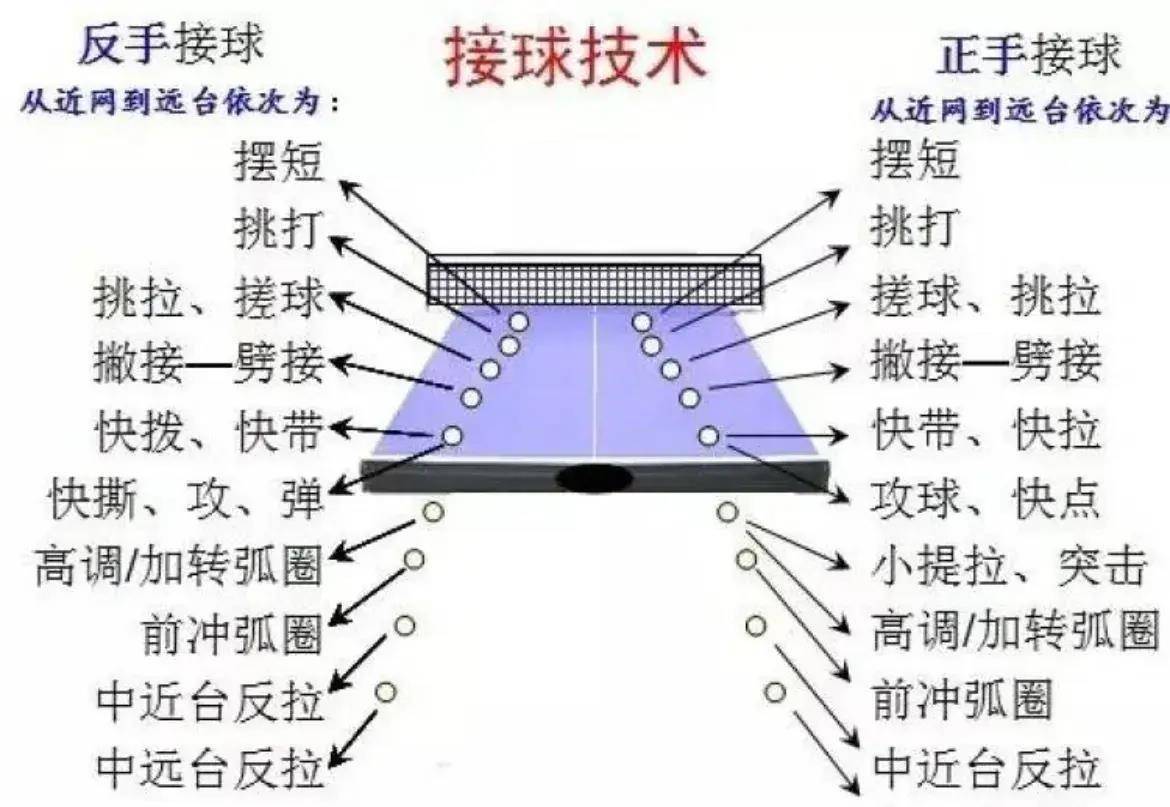 乒乓球六种旋转球图解图片