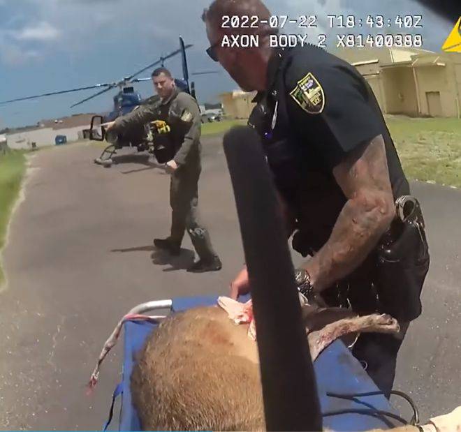 前202年2月28日刘邦称帝_警犬_鲁智深_庄家