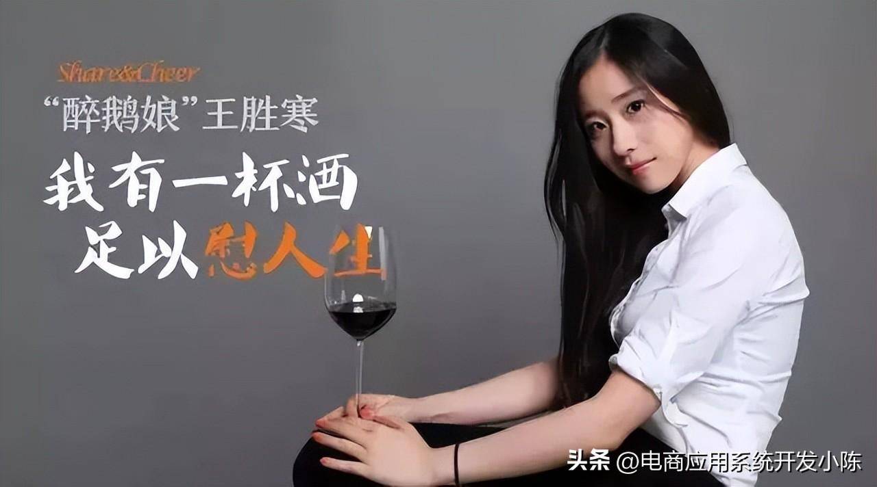 醉鹅娘:红酒界的新锐黑马与私域营销的艺术_模式_用户_品牌