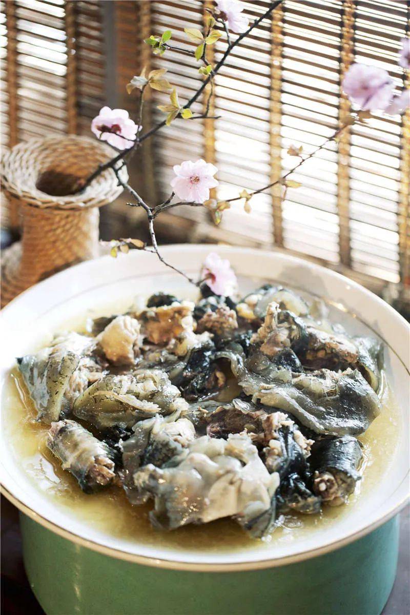 会长_养殖_油菜花