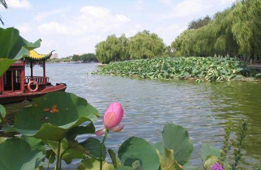 济南大明湖"蛙不鸣蛇不现",是乾隆一道圣旨导致的?_青蛙_夏雨荷_江南
