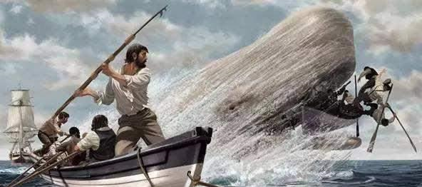 捕鲸场景那么,当时的捕鲸船水手,到底是怎么捕杀鲸鱼,提炼鲸油的呢?
