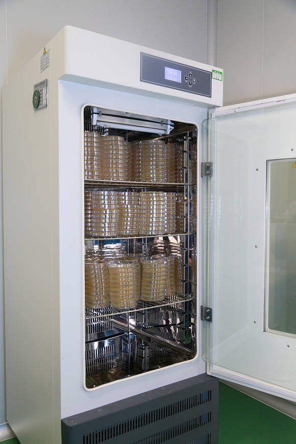 老化测试项目有哪些?_材料_高分子_试验