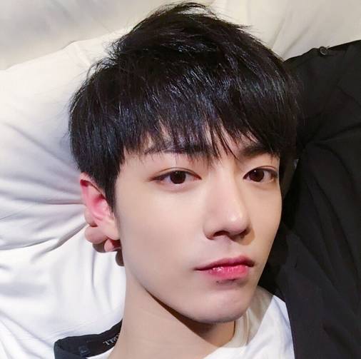 鹿晗_肖战_李易峰