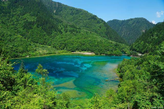 诺日朗中心-树正沟(犀牛海-老虎海-树正群海-芦苇海-盆景滩)九寨游玩