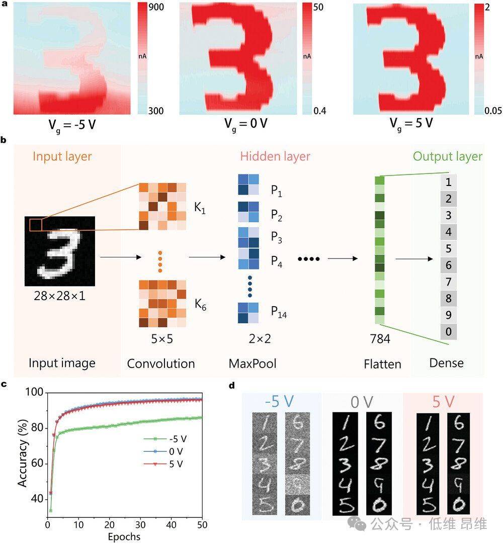 optical mater.:异质结动态能带高性能光电探测器_器件_mote_snse