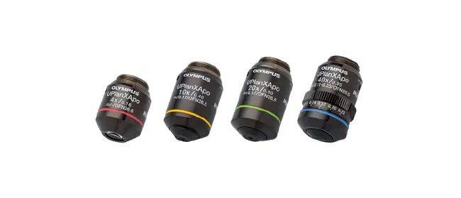 evident第五届全球显微图像大赛瞩目盛启!_显微镜_获奖者_视频