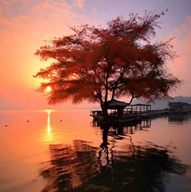 原创2024年喜事缠身运势如虹的三大生肖一路旺旺旺