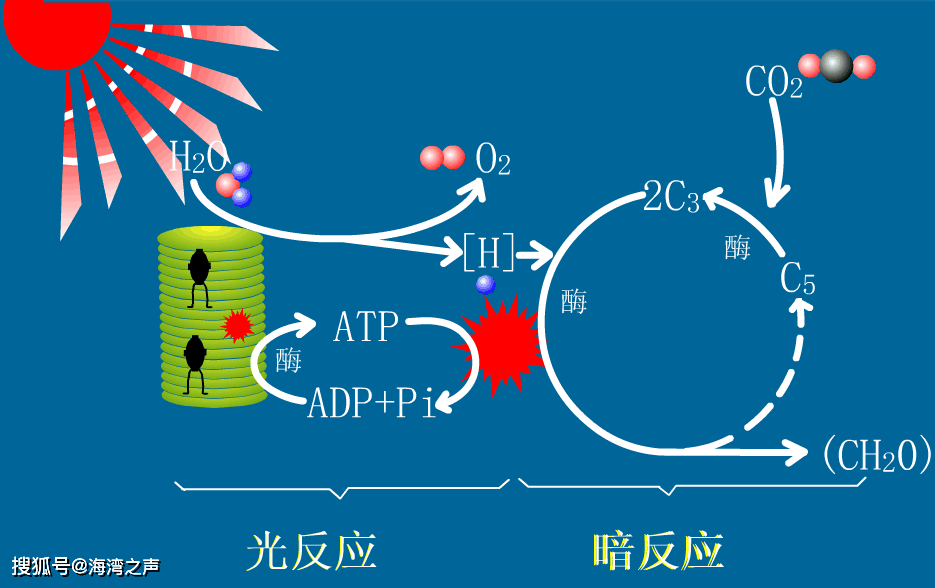 氧气教案化学模板设计_氧气教案化学模板_教案模板化学氧气