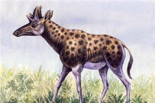 神兽"麒麟"长啥样?有人见过吗?