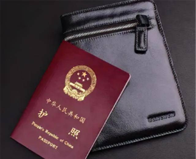 护照_公民_证件