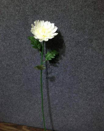 民间传说“头七”是什么意思？这里面可大有讲究