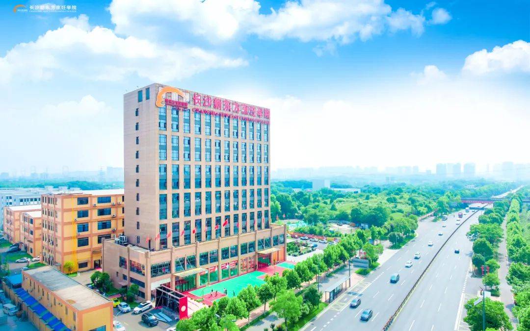 长沙新东方学籍补录倒计时错过再等一年