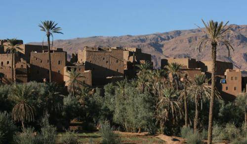 塔利亚_国家拥有_毛利