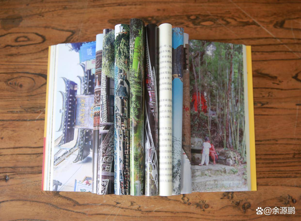 阅读古村古树广州小洲村街子古镇天官王府融水小桑贵州岜沙苗寨