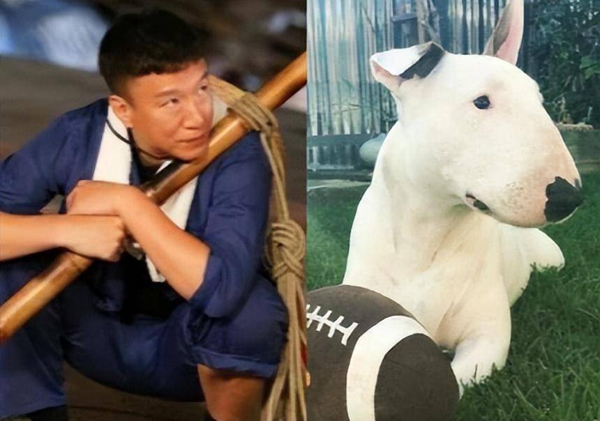 六,黄渤——躲不掉的兄弟情"孙红雷认狗""我说这只犬长得像个人似的