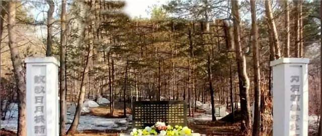 永远的知青-在北大荒牺牲的王晓勤_劳动_时候_火车