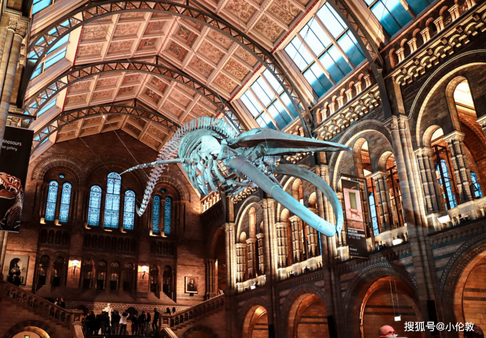 小伦敦国际营独具特色点亮未来之路