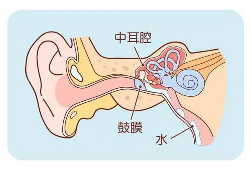 鼻窦积液排出姿势图片