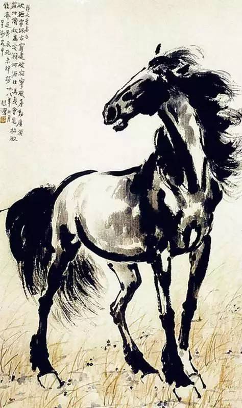 中国八大国画大师-代表作-书画名家_黄胄_徐悲鸿_金鱼