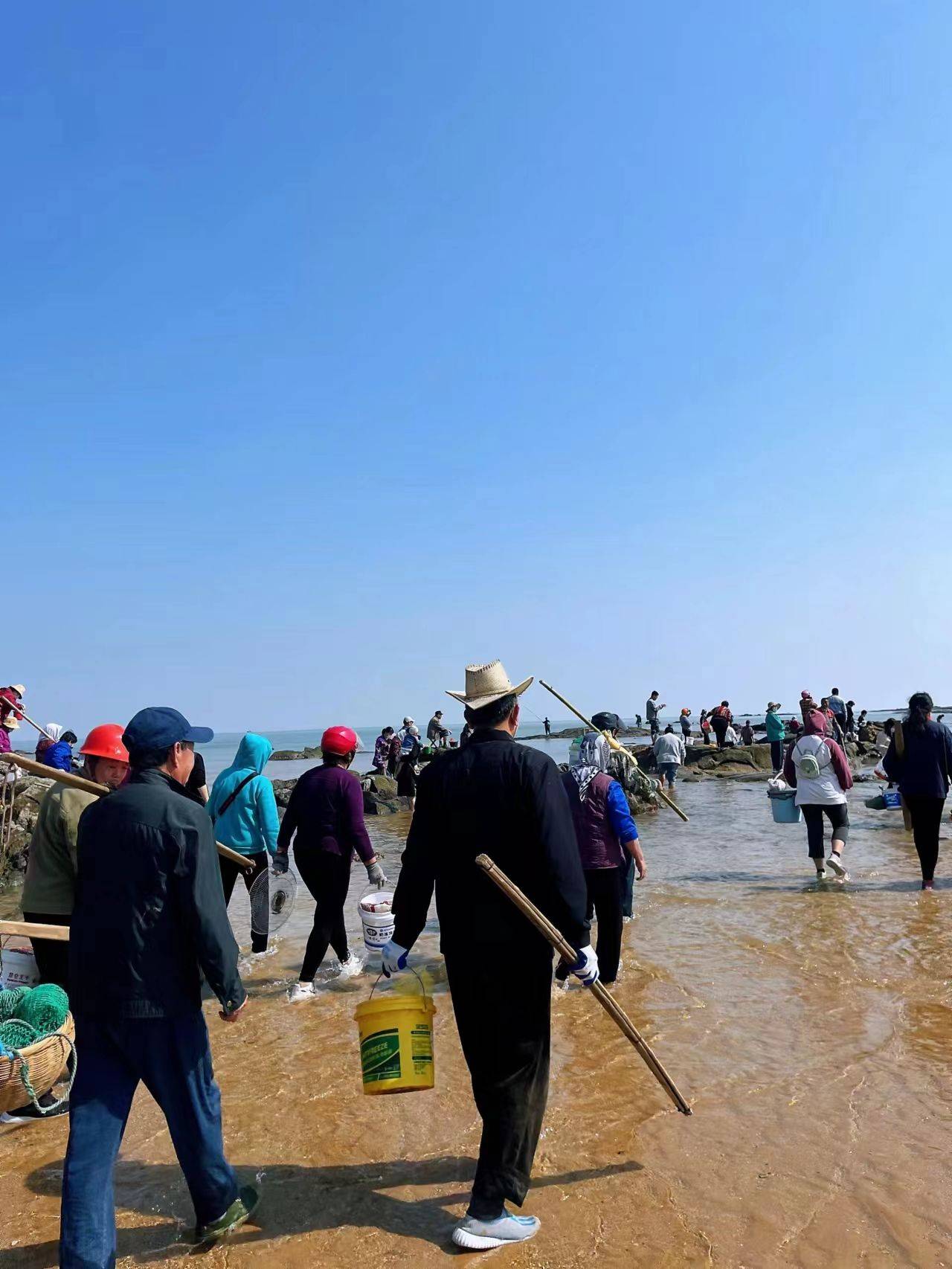 日照赶海全攻略,收藏这一篇就够了!_螃蟹_技巧_因为