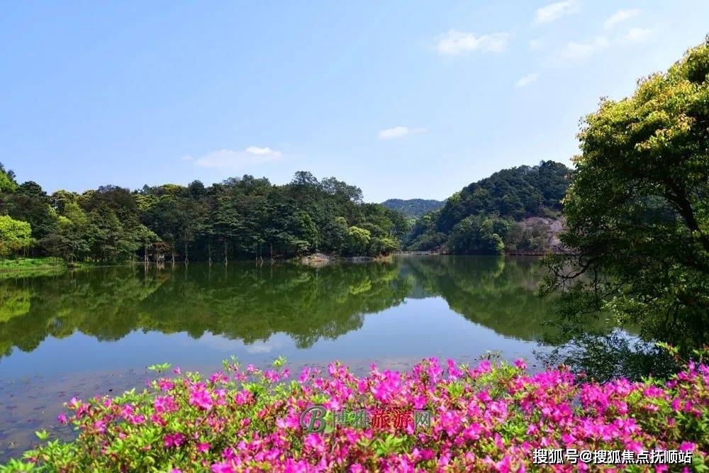 流溪河国家森林公园首批国家十大森林公园之一,公园四季常青,风光如画