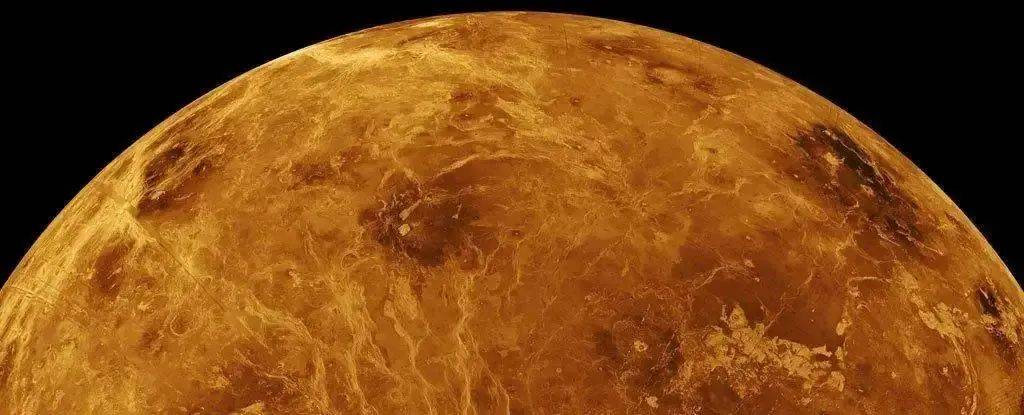 为了进一步研究金星生命,科学家们计划利用先进的无人探测器进行探测