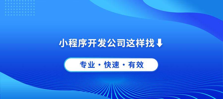 找专业的小程序开发公司有哪些途径