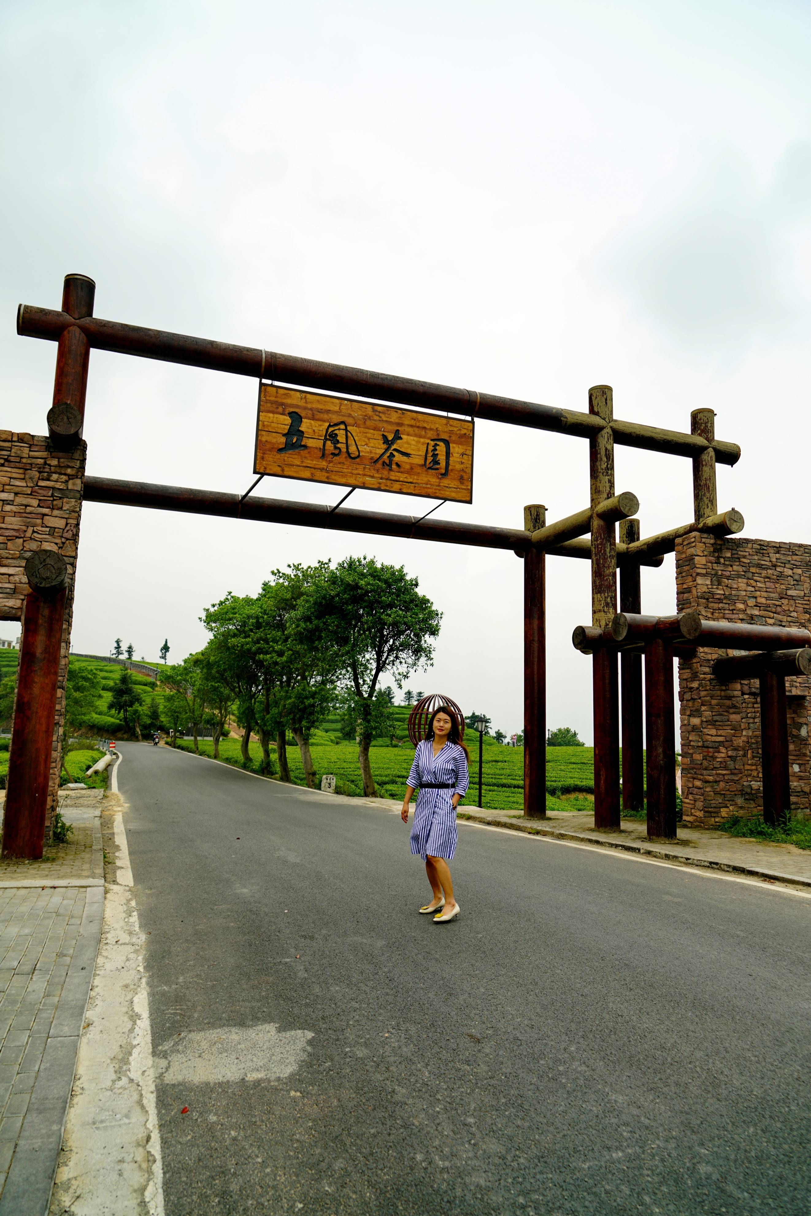 梅州茶园旅游区图片