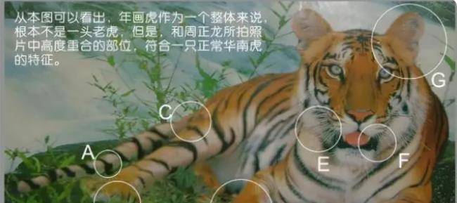 14年前,因"华南虎"事件入狱的陕西农民周正龙,后来怎么样了?