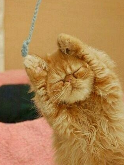 原创老婆得这种怪病你们说我应该怎么治