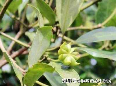 尤其是讨厌羊膻味而去膻味的时候,千万记得不要放八角,尽管只是为了